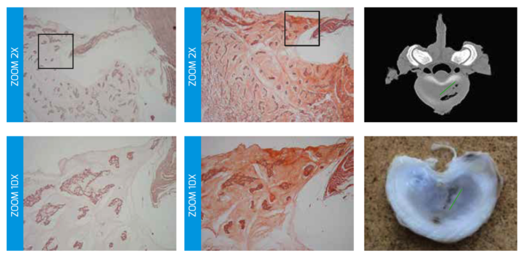 clinical evidence